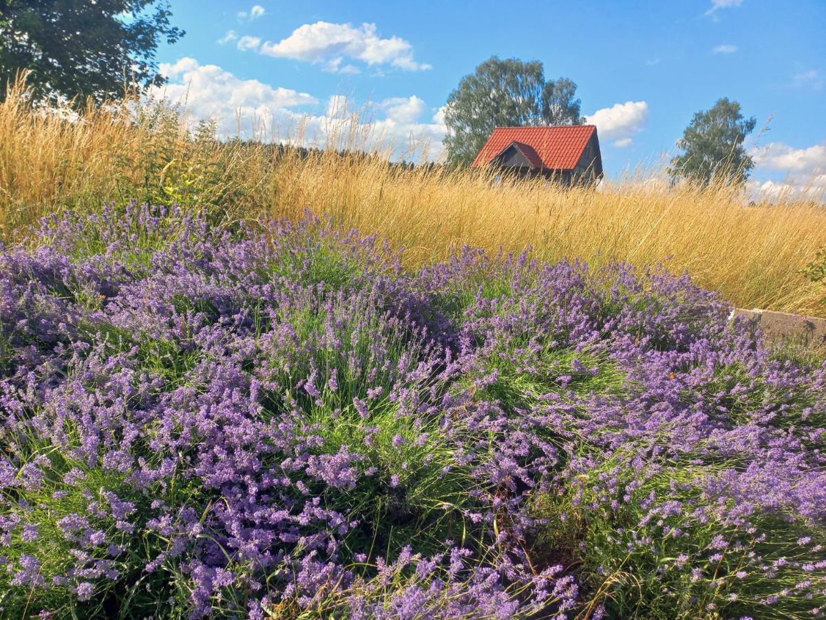 Villa Dom Malarki Mirosławiec Esterno foto