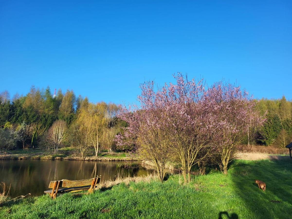 Villa Dom Malarki Mirosławiec Esterno foto