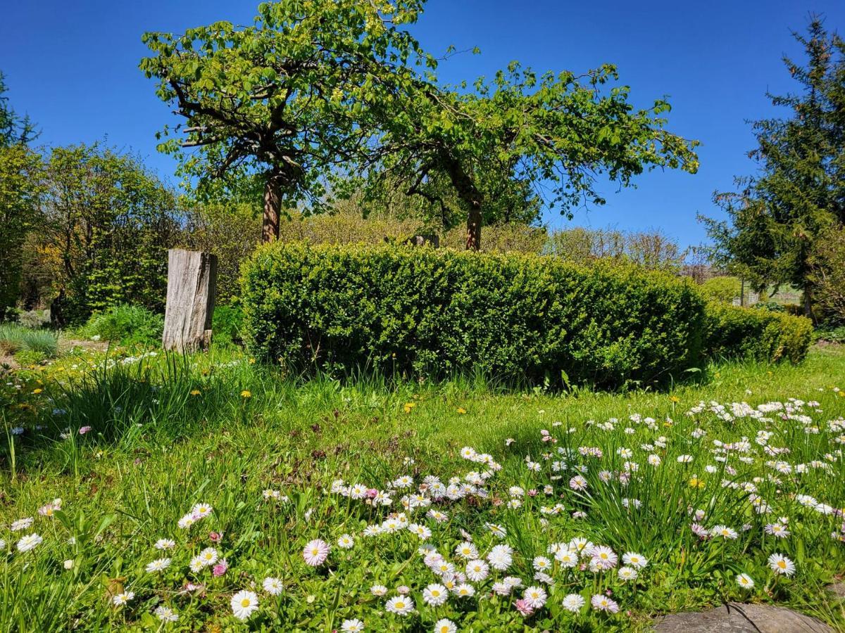 Villa Dom Malarki Mirosławiec Esterno foto