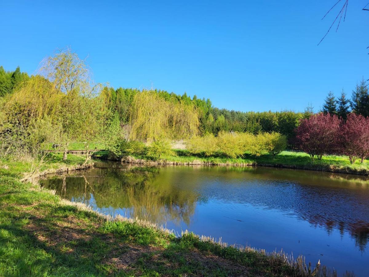 Villa Dom Malarki Mirosławiec Esterno foto