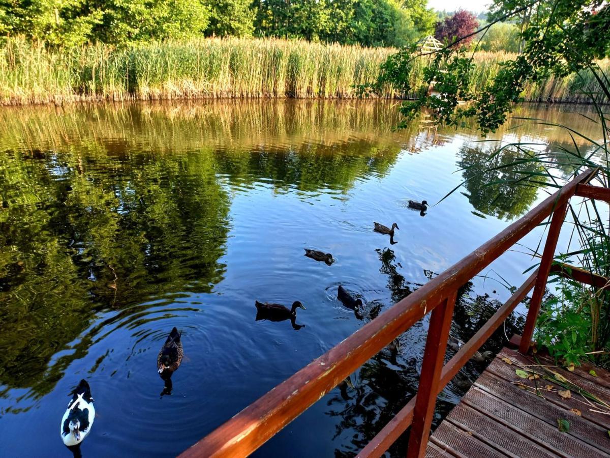 Villa Dom Malarki Mirosławiec Esterno foto